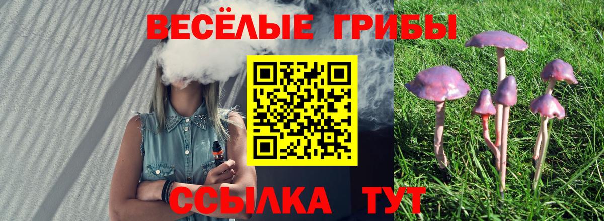 Псилоцибиновые грибы Psilocybine cubensis Новосибирск