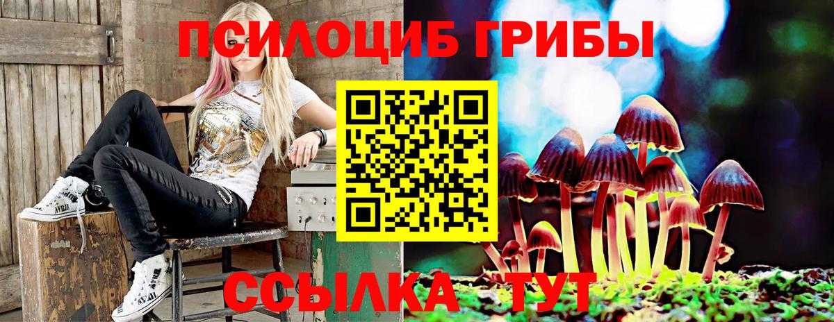 Галлюциногенные грибы GOLDEN TEACHER  Вход с VPN  Галлюциногенные грибы Cubensis  Новосибирск 